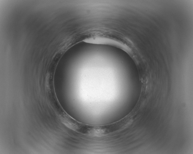 X0000078270217200611172039