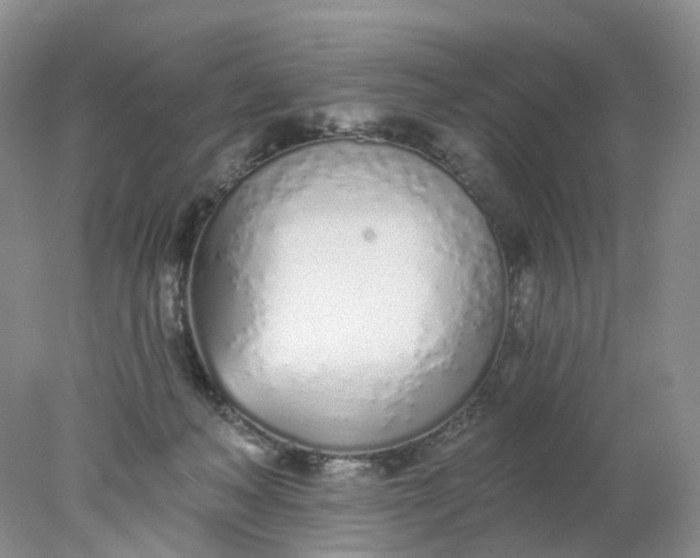 X0000078270222200611172039