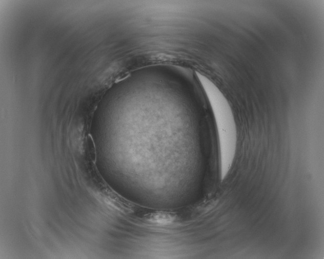 X0000078270223200611172039