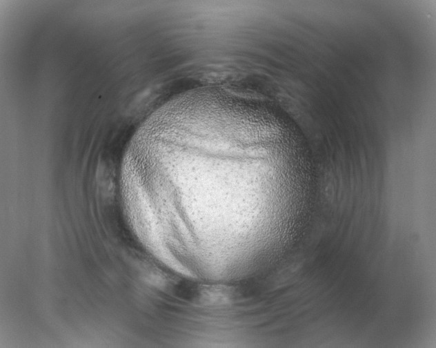 X0000078270226200611172039