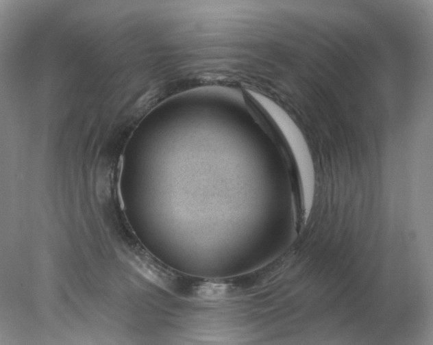 X0000078270227200611172039