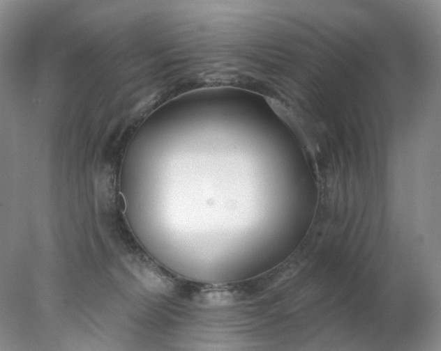 X0000078270228200611172039