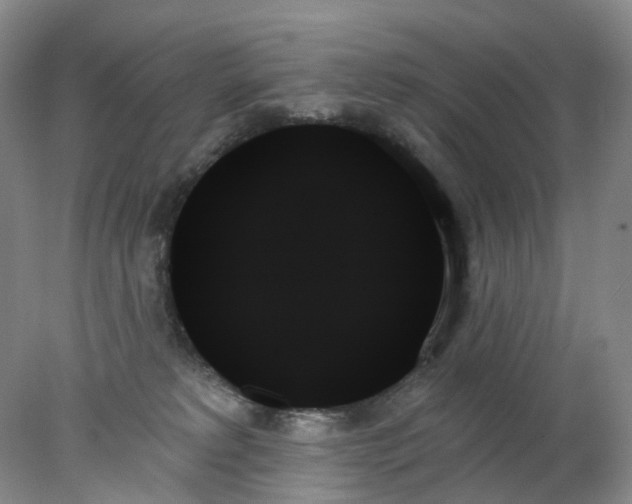 X0000078270229200611172039