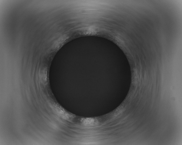 X0000078270230200611172039