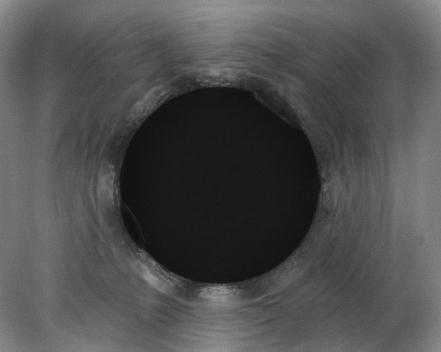 X0000078270231200611172039