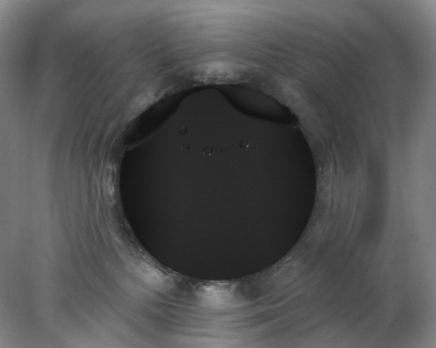 X0000078270232200611172039