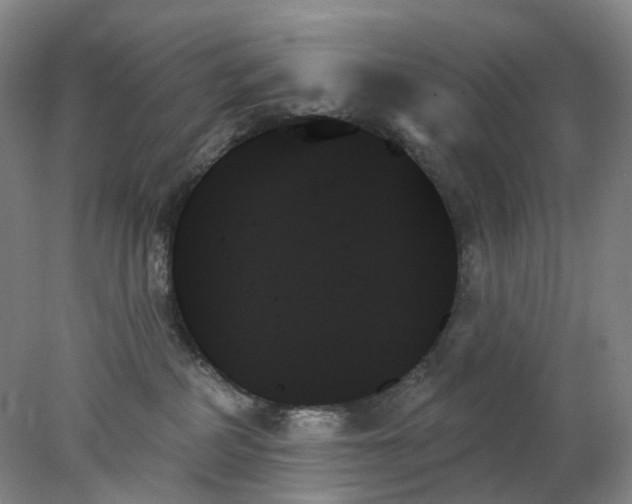 X0000078270234200611172039