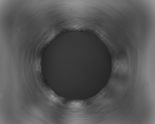 X0000078270236200611172039