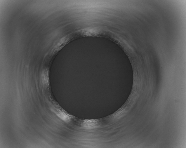 X0000078270240200611172038