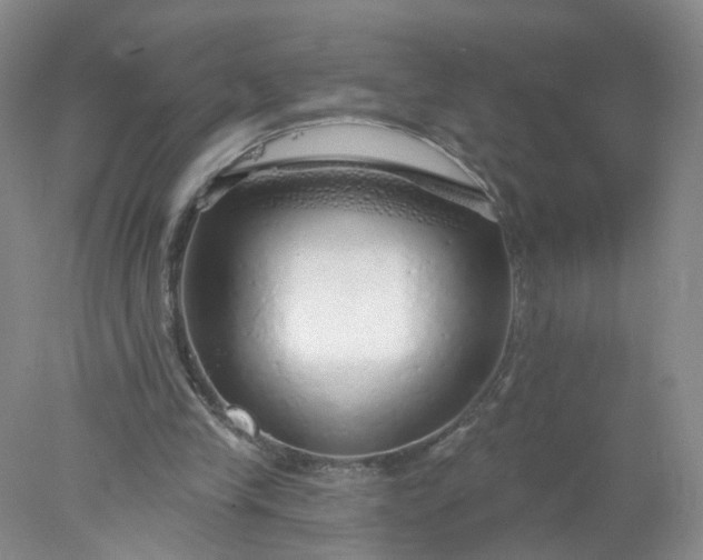 X0000078270245200611172038