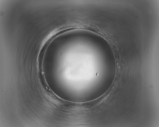 X0000078270246200611172038