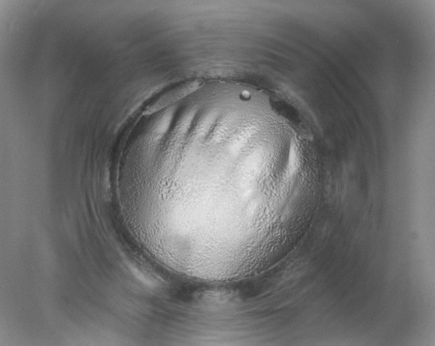 X0000078270251200611172038