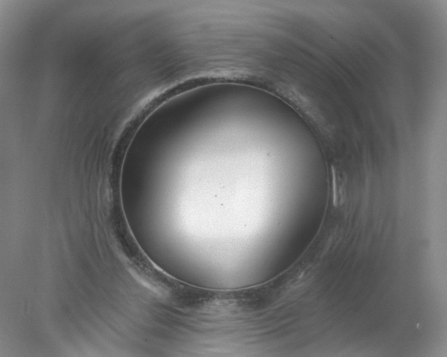 X0000078270252200611172038