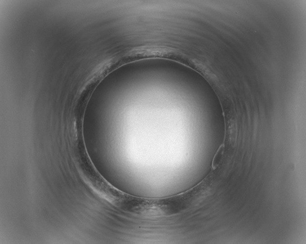 X0000078270254200611172038