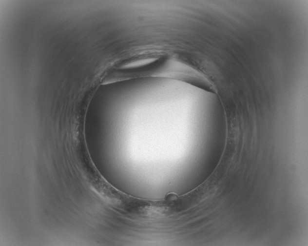 X0000078270255200611172038