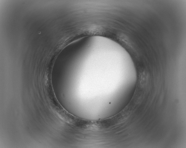 X0000078270259200611172038