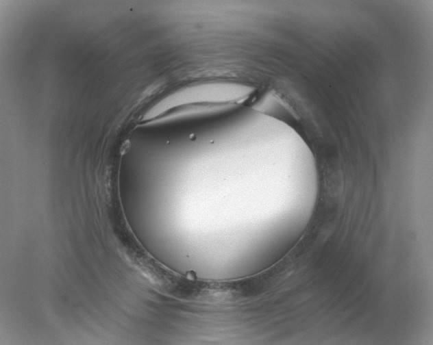 X0000078270260200611172038