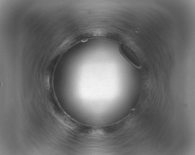 X0000078270262200611172038