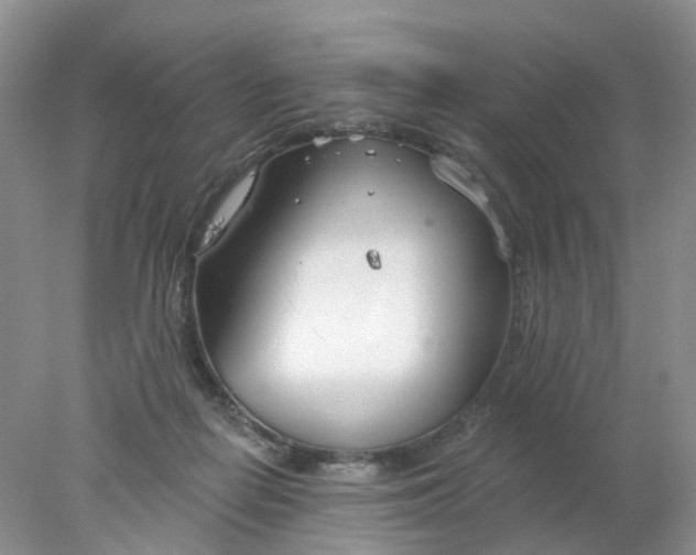 X0000078270266200611172038