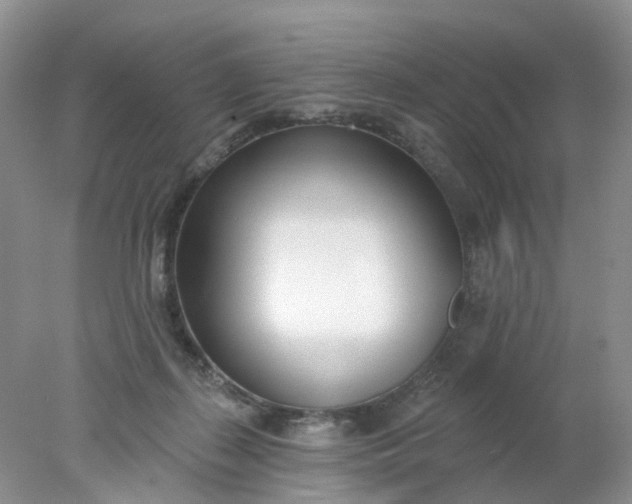 X0000078270267200611172038