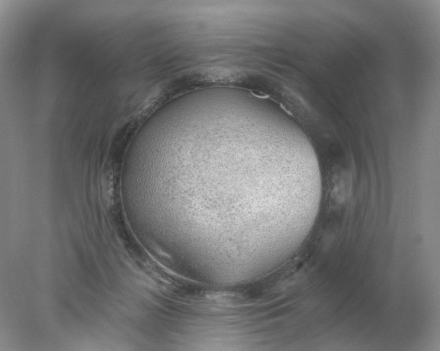 X0000078270268200611172038