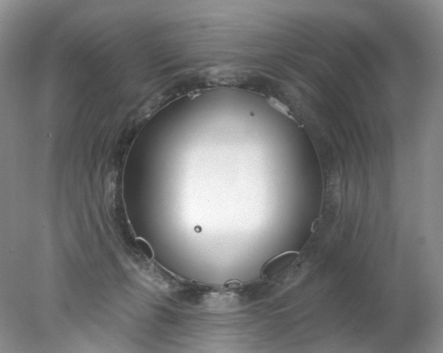 X0000078270271200611172038