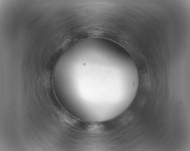 X0000078270274200611172038