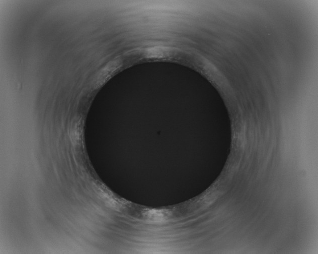 X0000078270277200611172038