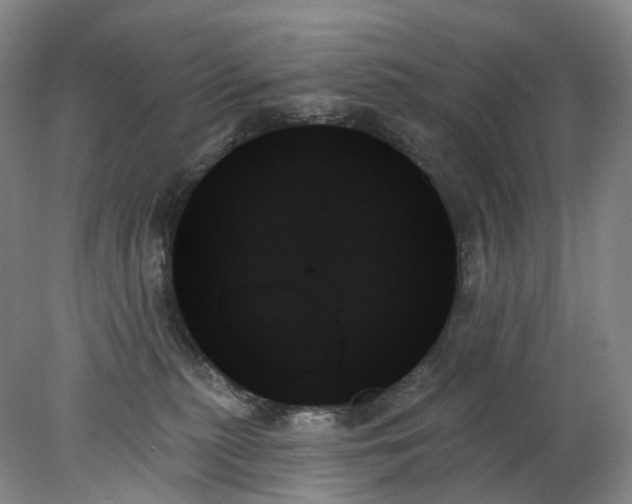 X0000078270279200611172038