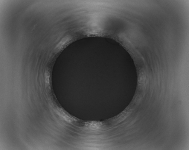 X0000078270282200611172038