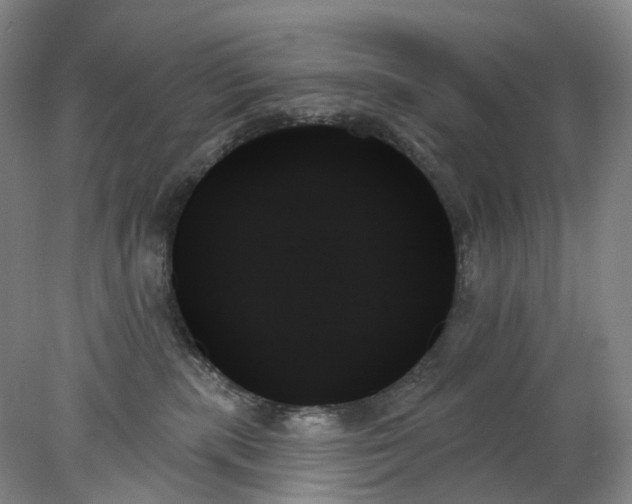 X0000078270283200611172038