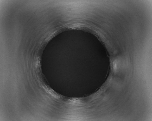 X0000078270284200611172038