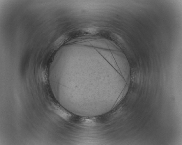 X0000078270285200611172038