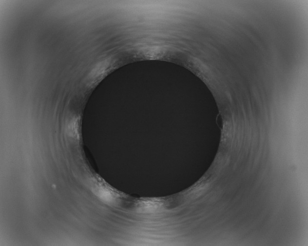 X0000078270286200611172038