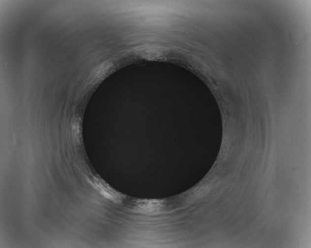 X0000078270288200611172038