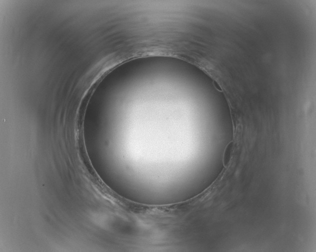 X0000078270290200611172038