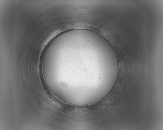 X0000078270292200611172038