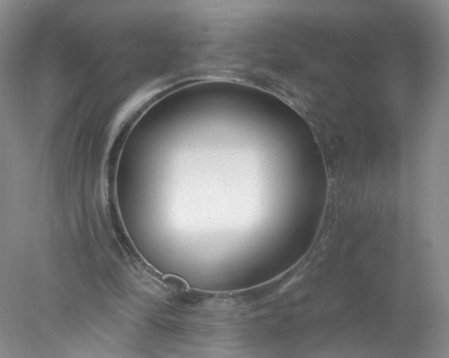 X0000078270294200611172038