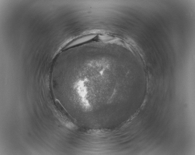 X0000078270297200611172038