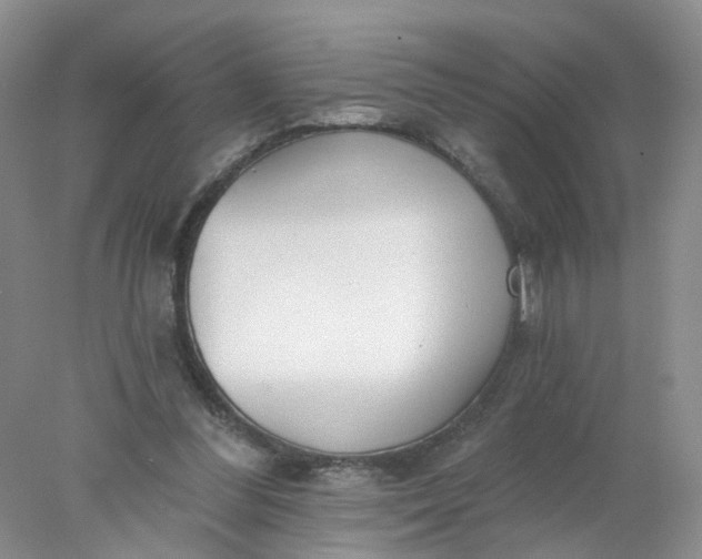 X0000078270300200611172037