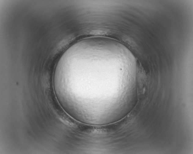 X0000078270303200611172037
