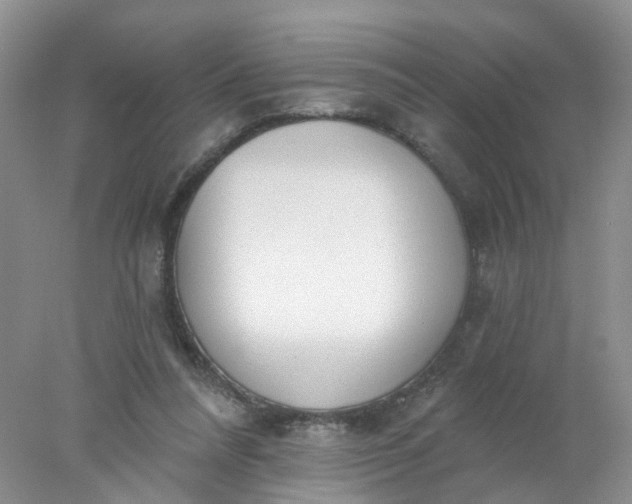 X0000078270304200611172037