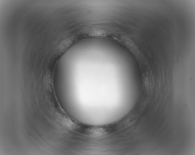X0000078270322200611172037