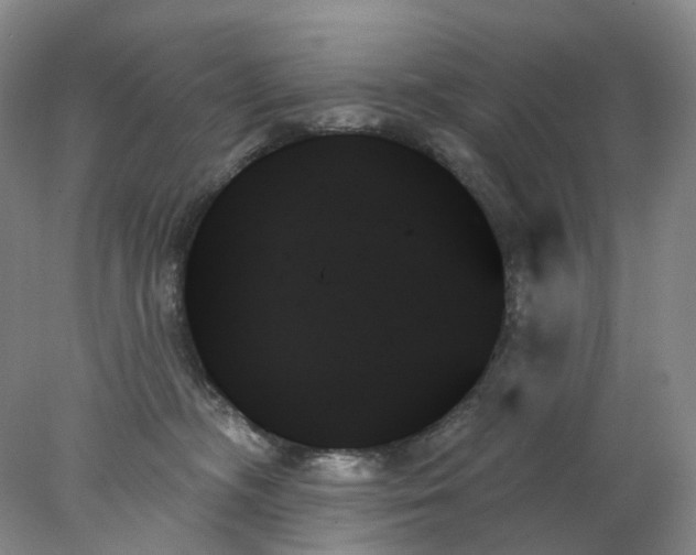 X0000078270326200611172037
