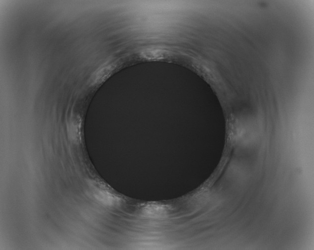 X0000078270332200611172037