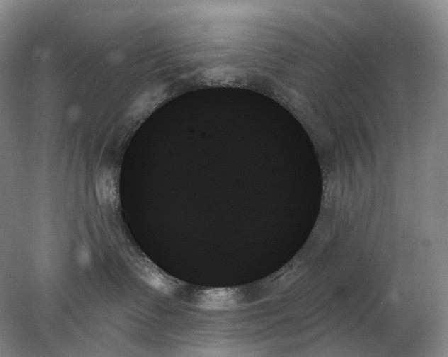 X0000078270335200611172037