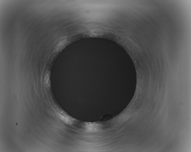 X0000078270336200611172037