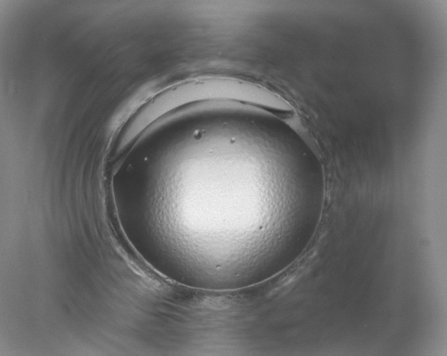 X0000078270341200611172036
