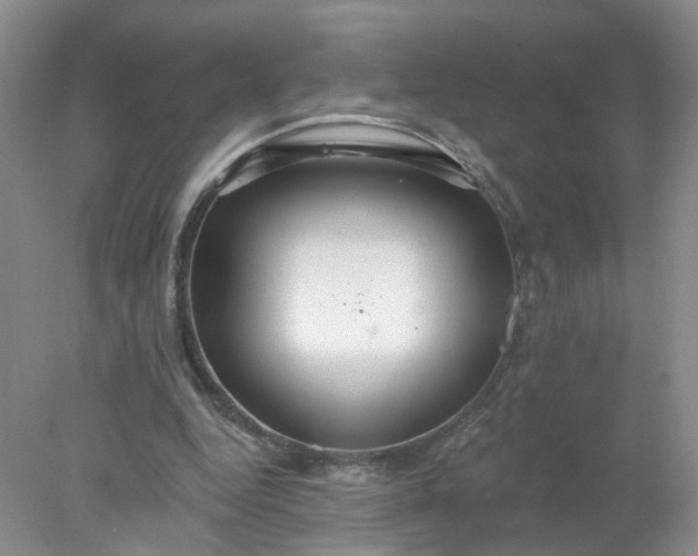 X0000078270344200611172036