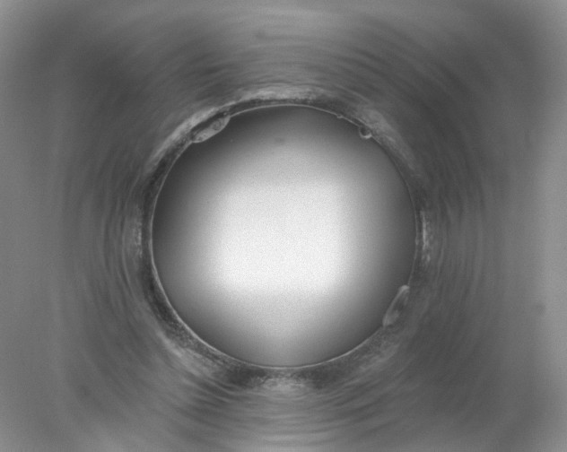 X0000078270348200611172036